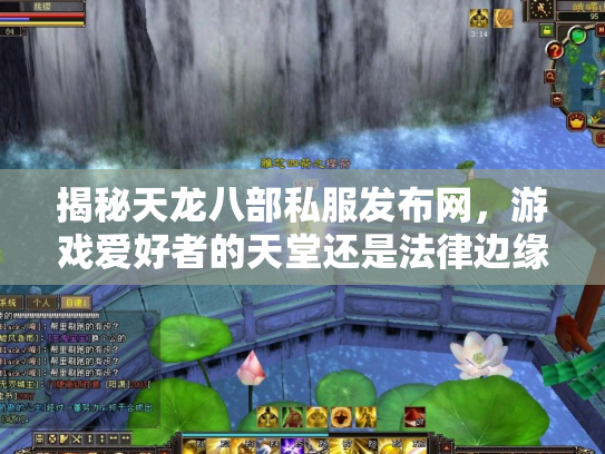 揭秘天龙八部私服发布网，游戏爱好者的天堂还是法律边缘的雷区？