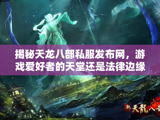 揭秘天龙八部私服发布网，游戏爱好者的天堂还是法律边缘的雷区？