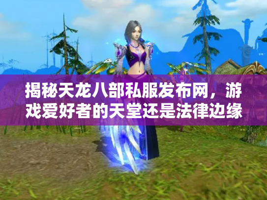 揭秘天龙八部私服发布网，游戏爱好者的天堂还是法律边缘的雷区？