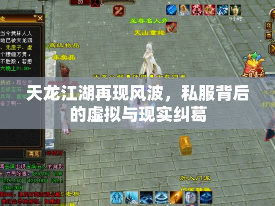 天龙江湖再现风波，私服背后的虚拟与现实纠葛