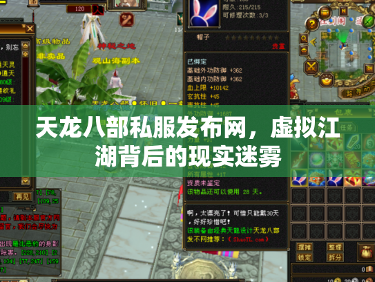 天龙八部私服发布网，虚拟江湖背后的现实迷雾
