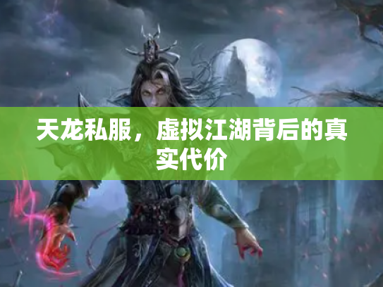 天龙私服，虚拟江湖背后的真实代价