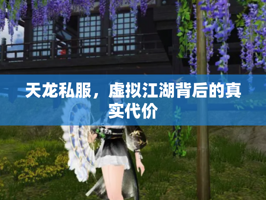 天龙私服，虚拟江湖背后的真实代价