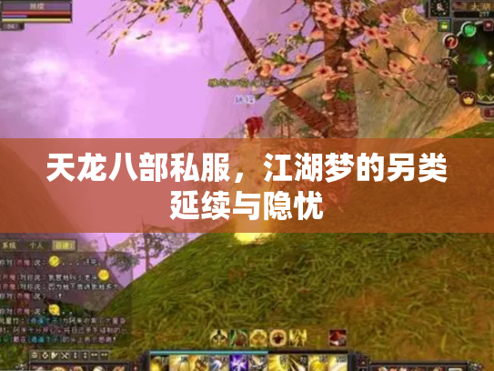 天龙八部私服，江湖梦的另类延续与隐忧