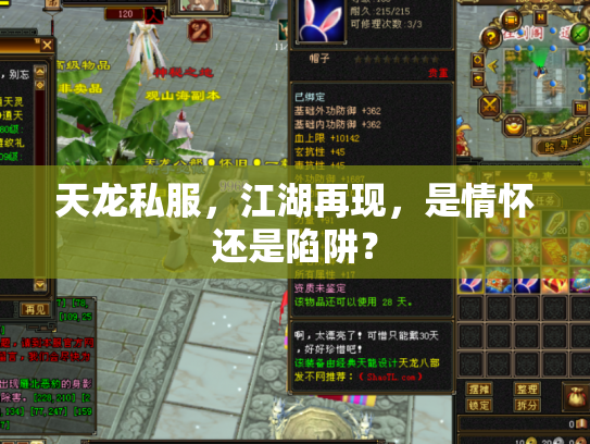 天龙私服，江湖再现，是情怀还是陷阱？