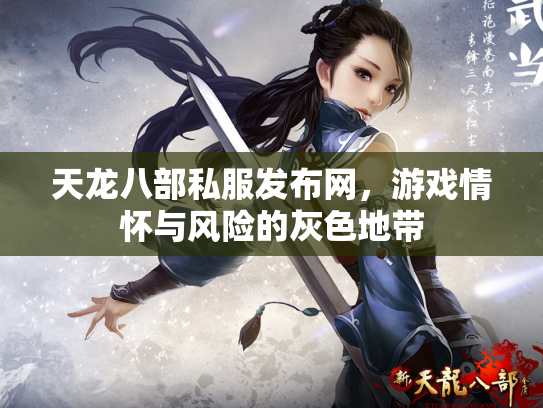 天龙八部私服发布网，游戏情怀与风险的灰色地带