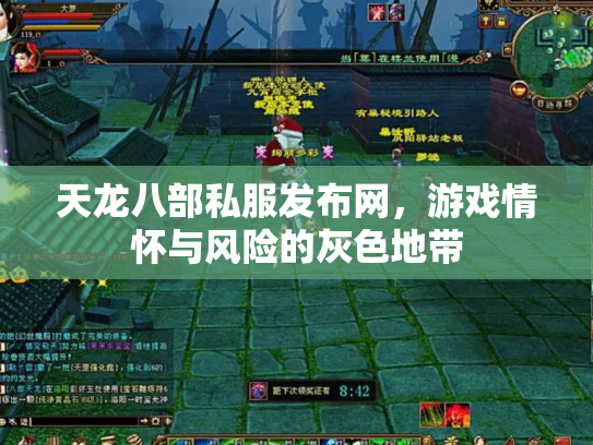 天龙八部私服发布网，游戏情怀与风险的灰色地带