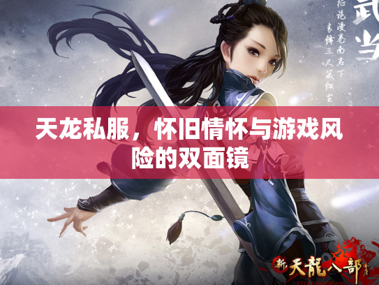 天龙私服，怀旧情怀与游戏风险的双面镜