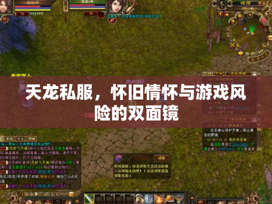 天龙私服，怀旧情怀与游戏风险的双面镜
