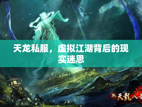 天龙私服，虚拟江湖背后的现实迷思