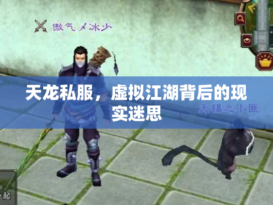 天龙私服，虚拟江湖背后的现实迷思