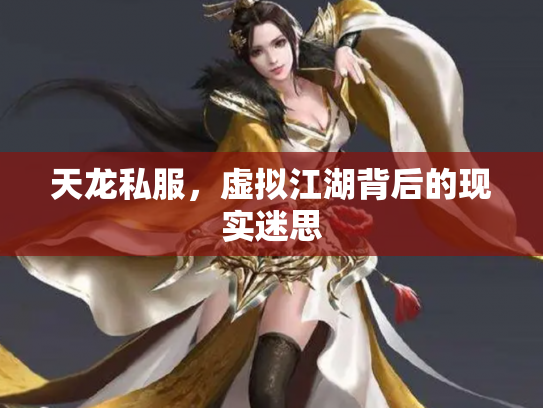 天龙私服，虚拟江湖背后的现实迷思