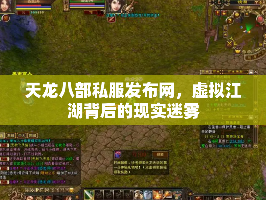 天龙八部私服发布网，虚拟江湖背后的现实迷雾
