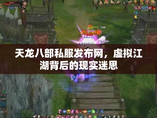 天龙八部私服发布网，虚拟江湖背后的现实迷思
