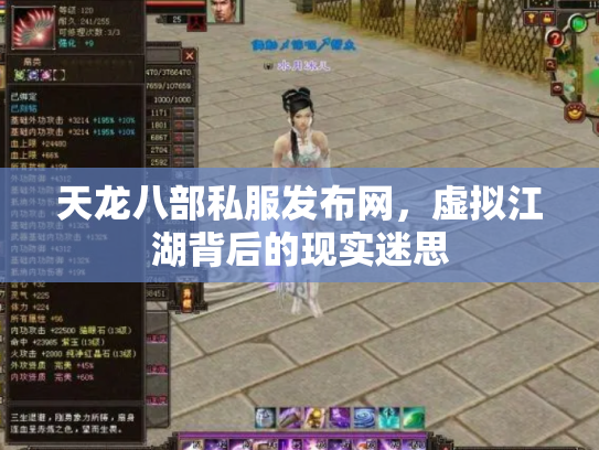 天龙八部私服发布网，虚拟江湖背后的现实迷思