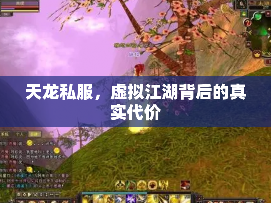 天龙私服，虚拟江湖背后的真实代价
