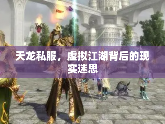天龙私服，虚拟江湖背后的现实迷思