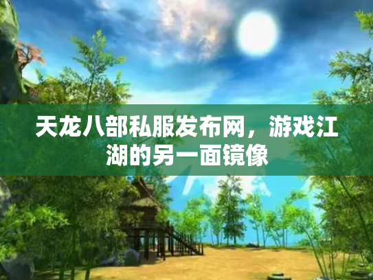 天龙八部私服发布网，游戏江湖的另一面镜像