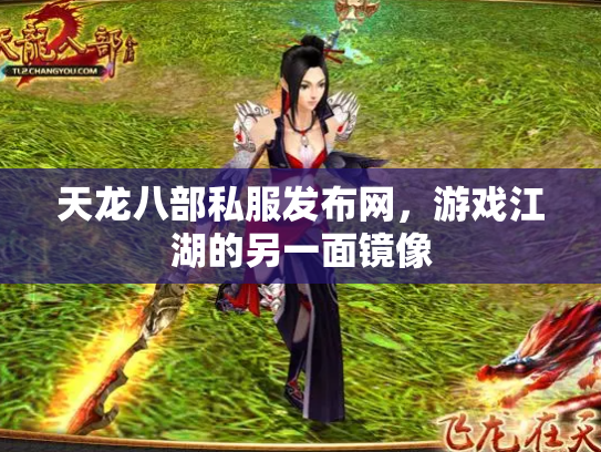 天龙八部私服发布网，游戏江湖的另一面镜像