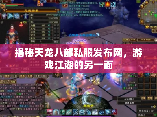揭秘天龙八部私服发布网，游戏江湖的另一面
