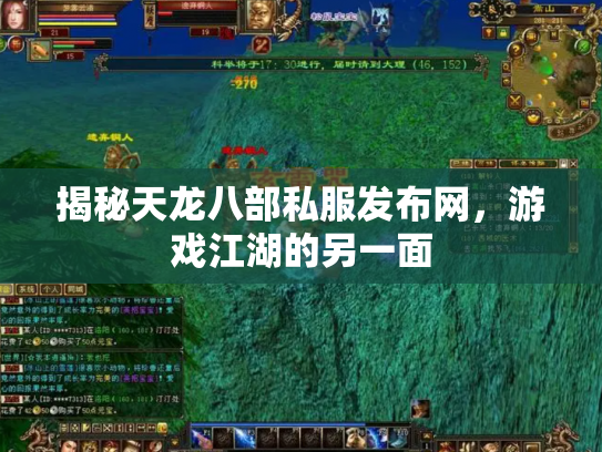 揭秘天龙八部私服发布网，游戏江湖的另一面