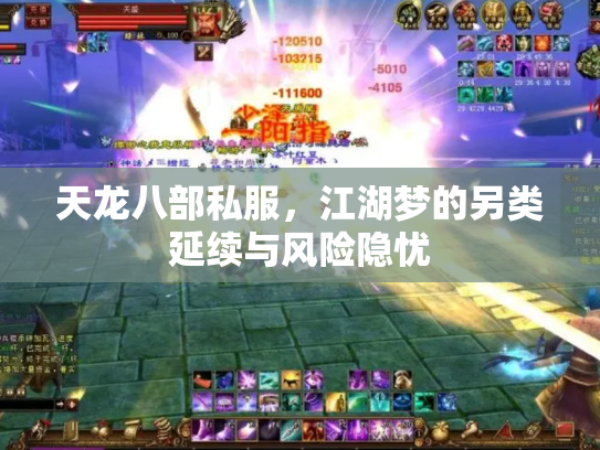 天龙八部私服，江湖梦的另类延续与风险隐忧