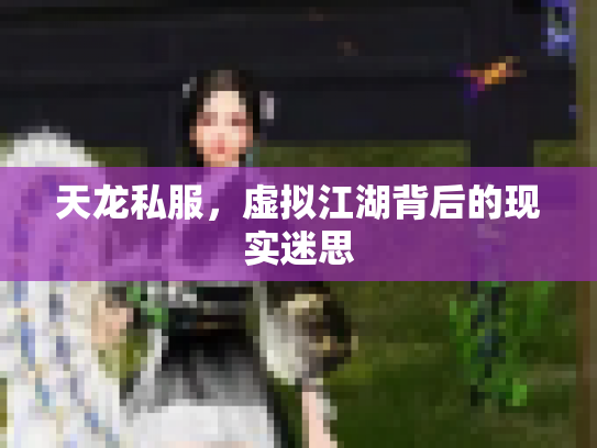 天龙私服，虚拟江湖背后的现实迷思