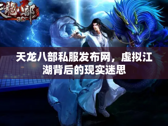 天龙八部私服发布网，虚拟江湖背后的现实迷思