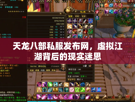 天龙八部私服发布网，虚拟江湖背后的现实迷思