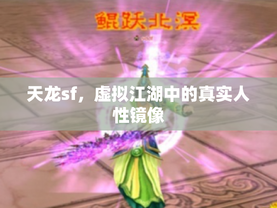 天龙sf，虚拟江湖中的真实人性镜像