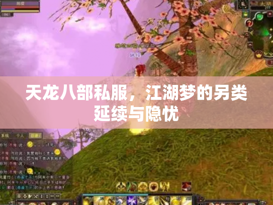 天龙八部私服，江湖梦的另类延续与隐忧