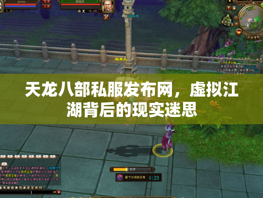 天龙八部私服发布网，虚拟江湖背后的现实迷思