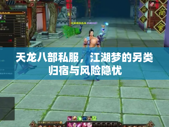 天龙八部私服，江湖梦的另类归宿与风险隐忧