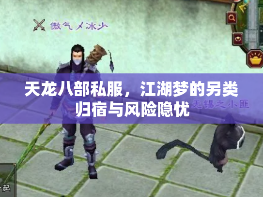 天龙八部私服，江湖梦的另类归宿与风险隐忧