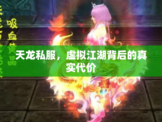 天龙私服，虚拟江湖背后的真实代价
