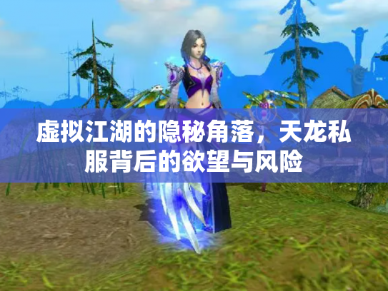 虚拟江湖的隐秘角落，天龙私服背后的欲望与风险