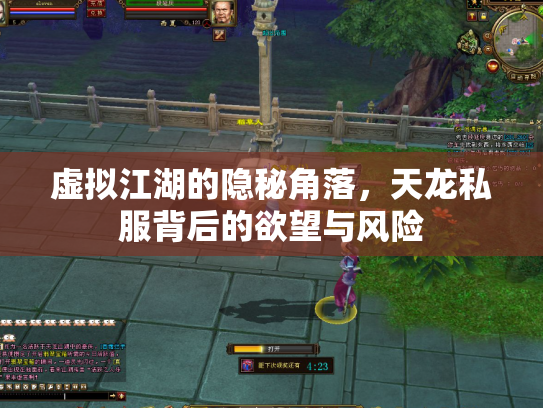 虚拟江湖的隐秘角落，天龙私服背后的欲望与风险