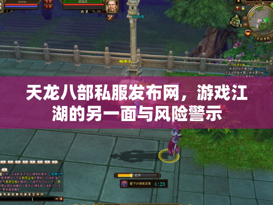 天龙八部私服发布网，游戏江湖的另一面与风险警示