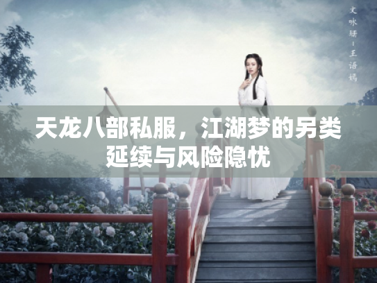 天龙八部私服，江湖梦的另类延续与风险隐忧