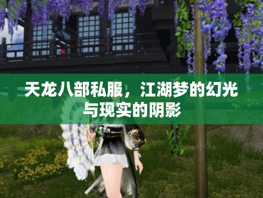 天龙八部私服，江湖梦的幻光与现实的阴影