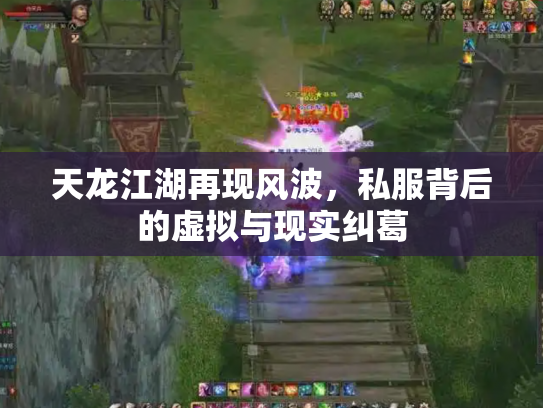 天龙江湖再现风波，私服背后的虚拟与现实纠葛