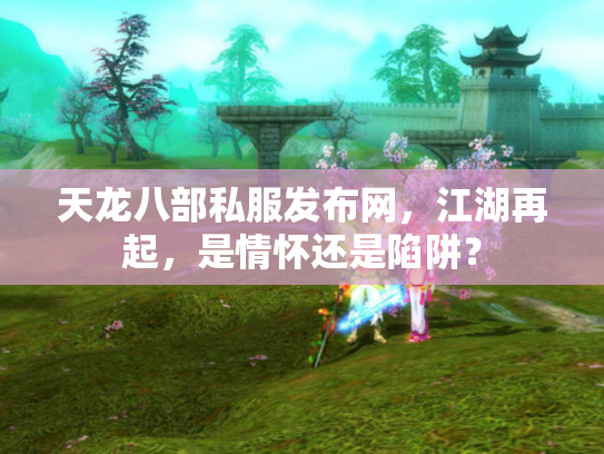 天龙八部私服发布网，江湖再起，是情怀还是陷阱？