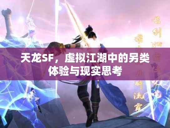 天龙SF，虚拟江湖中的另类体验与现实思考