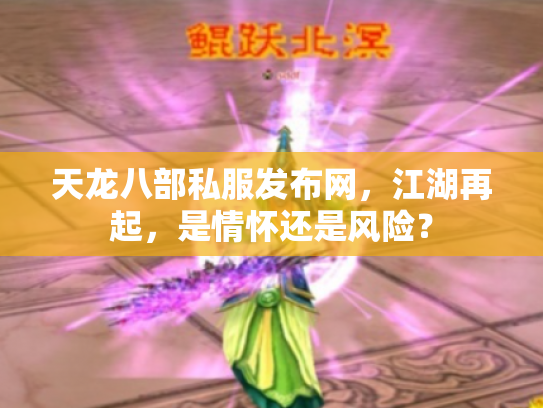 天龙八部私服发布网，江湖再起，是情怀还是风险？