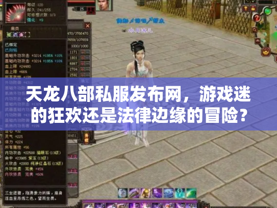 天龙八部私服发布网，游戏迷的狂欢还是法律边缘的冒险？