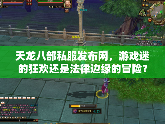 天龙八部私服发布网，游戏迷的狂欢还是法律边缘的冒险？