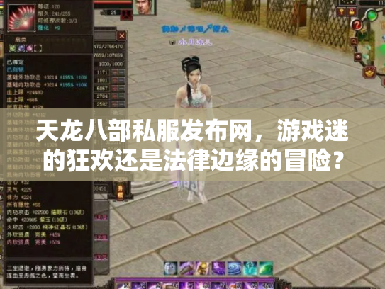 天龙八部私服发布网，游戏迷的狂欢还是法律边缘的冒险？
