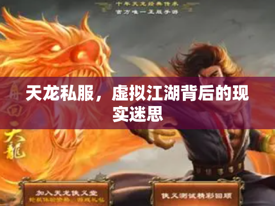 天龙私服，虚拟江湖背后的现实迷思
