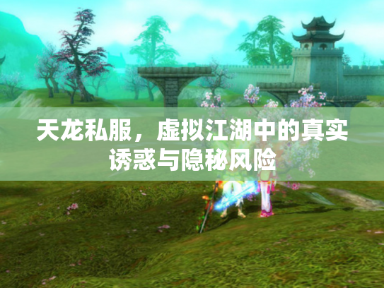 天龙私服，虚拟江湖中的真实诱惑与隐秘风险