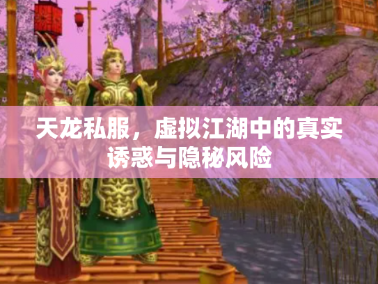 天龙私服，虚拟江湖中的真实诱惑与隐秘风险